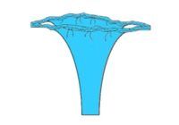 Изображение товара «Трусики процедур на резинке  пл-17 однораз (бикини) н/ст шт. N1»